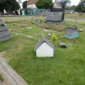 Guinea pig village