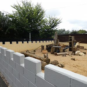 Meerkat enclosure 'Meerkat Kastle' (Suffolk Owl Sanctuary)