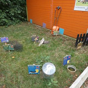 Hedgehog conservation display (Suffolk Owl Sanctuary)