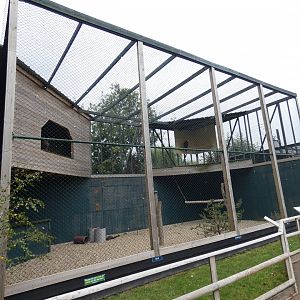Golden eagle aviary (Suffolk Owl Sanctuary)