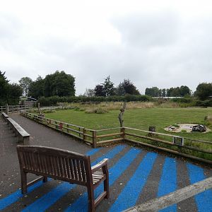 The Flying ground (Suffolk Owl Sanctuary)