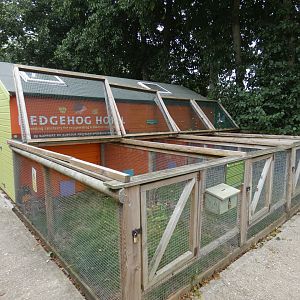 Hedgehog Hotel (Suffolk Owl Sanctuary)