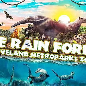 Media 'The Rain Forest | Zoo Tours' in category 'Cleveland Metroparks Zoo'