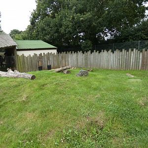 Bat-eared fox enclosure