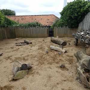 Meerkat and Aardvark outdoor enclosure