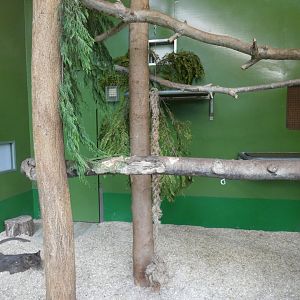 Fossa indoor enclosure