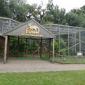 Fossa outdoor enclosure