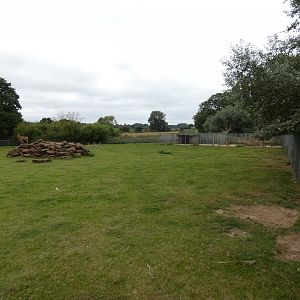 Barbary sheep enclosure