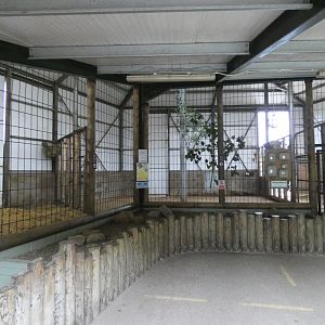 Inside giraffe house