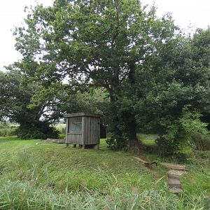 Red-bellied lemur enclosure