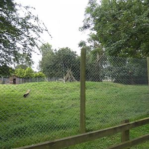Addax enclosure