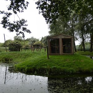 Black lemur enclosure