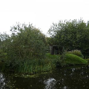 Mongoose lemur enclosure
