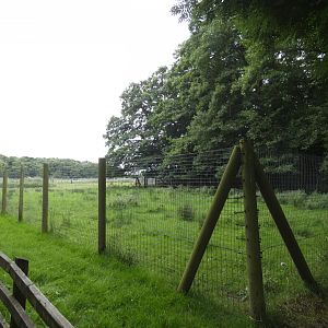 Lowland nyala enclosure