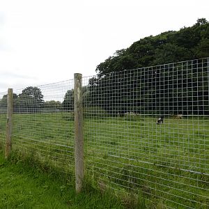 Nile lechwe enclosure