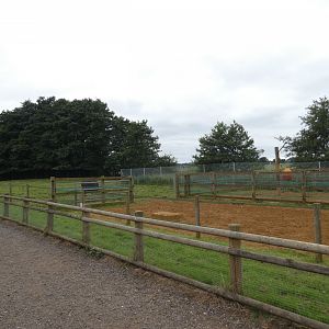 Domestic water buffalo enclosure
