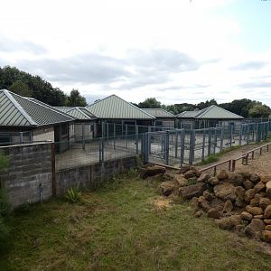 Blesbok, Zebra and Ostrich hardstanding