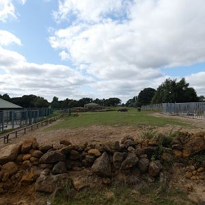Savannah exhibit viewing area