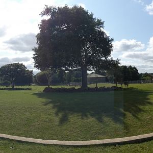 Savannah exhibit panorama