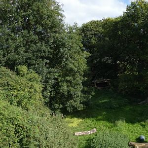 Lion enclosure panorama