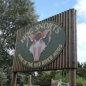 Red river hog exhibit signage