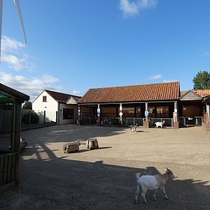 Farmyard area