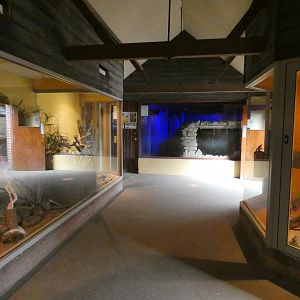 Inside Aardvark house