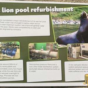 Signage on sea lion pool refurbishment - 04/09/21