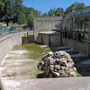 Harbor seal exhibit [2017]