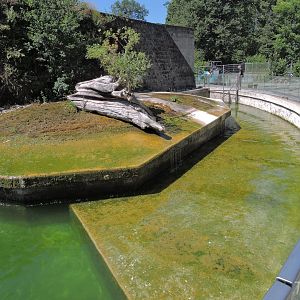 Harbor seal exhibit [2017]