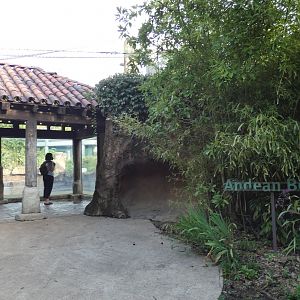 Andean Bear Range, South America, River's Edge - Sep. 2021