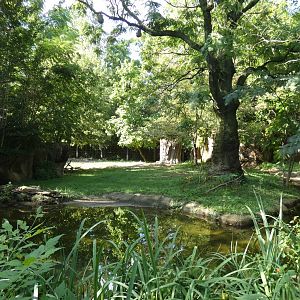 Rhino Reserve, Africa, River's Edge - Sep. 2021