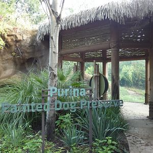 Pained Dog Preserve, Africa, River's Edge - Sep. 2021