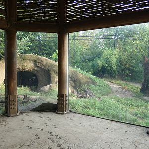 Pained Dog Preserve, Africa, River's Edge - Sep. 2021