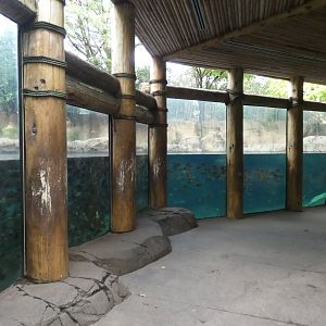 Hippo Harbor, Africa, River's Edge - Sep. 2021