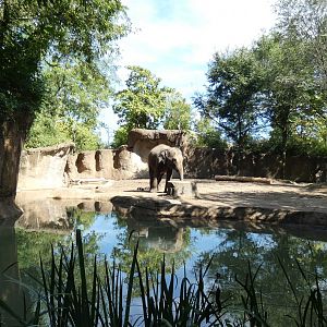 Lords of the Forests, Asia, River's Edge  - Sep. 2021