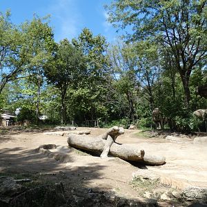 Elephant Oasis, Asia, River's Edge  - Sep. 2021