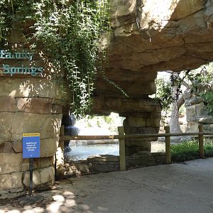 Elephant Springs, Asia, River's Edge  - Sep. 2021