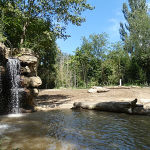 Elephant Springs, Asia, River's Edge  - Sep. 2021