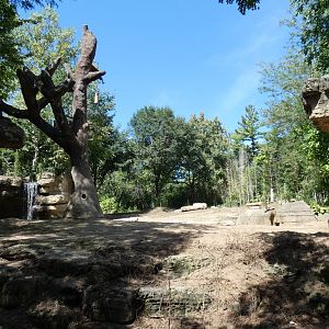 Elephant Springs, Asia, River's Edge  - Sep. 2021