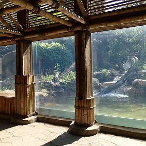 Sun Bear Forest, Asia, River's Edge  - Sep. 2021