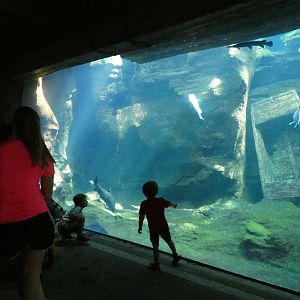 Mississippi River Tank, Missouri, River's Edge  - Sep. 2021