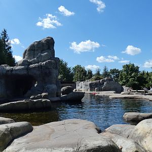 Sea Lion Sound  - Sep. 2021