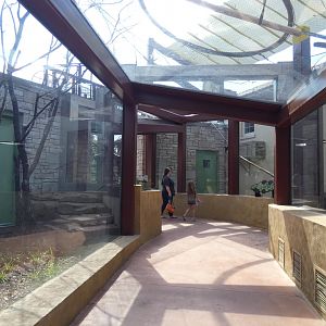 Primate Panorama (Rotational), Primate Canopy Trails  - Sep. 2021