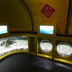 Yellow Submarine viewing area