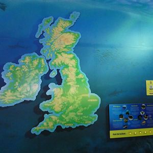 Map of UK and Ireland SeaLife's