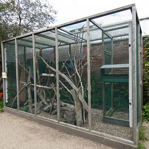 Swinhoe's striped squirrel enclosure