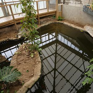 Mugger crocodile enclosure