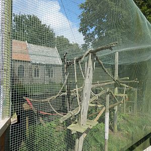 Binturong outdoor enclosure