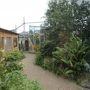 Entrance to Cat Cloisters